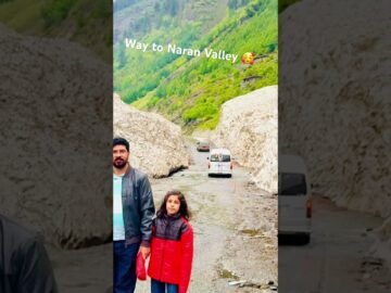 [ID: 1w3h0aiofkA] Youtube Automatic