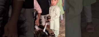 [ID: CFyGT6uVxfM] Youtube Automatic