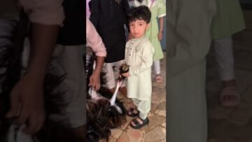 [ID: CFyGT6uVxfM] Youtube Automatic