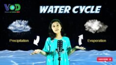 [ID: i-VO7ztVvqU] Youtube Automatic