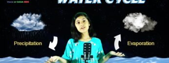 [ID: i-VO7ztVvqU] Youtube Automatic