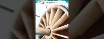 [ID: Jse1Wg5w-h4] Youtube Automatic