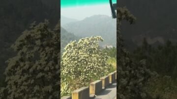 [ID: lvhMFWPSd9Q] Youtube Automatic