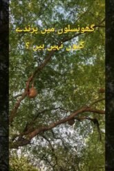 [ID: QY8ASIHP_Uw] Youtube Automatic