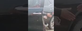 [ID: TdJzbhSDz10] Youtube Automatic