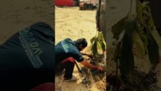 [ID: yQJmXyMTOB8] Youtube Automatic